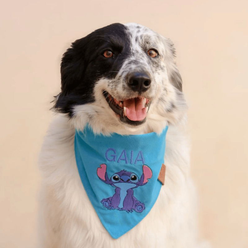 Bandana pet com bordado Stitch ou Angel – com nome bordado – Vários tamanhos P, M, U, G, GG, XG