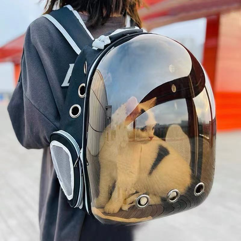 Mochila Astronauta Transparente Visão Passeio Respirável Para Gato Animais