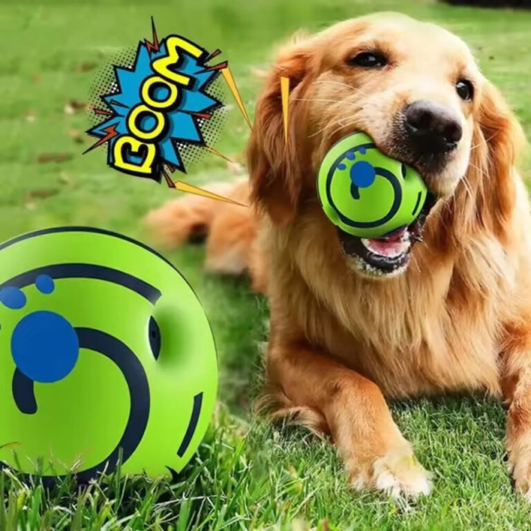Bola Sonora Cachorro Brinquedo Interativo Emite So