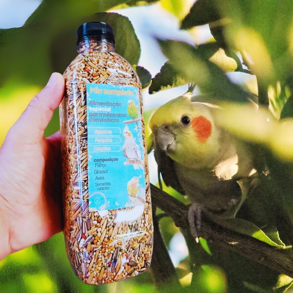 Raçao de aves Sementes para Calopsita – Alimento Nutritivo e Balanceado para Pássaros