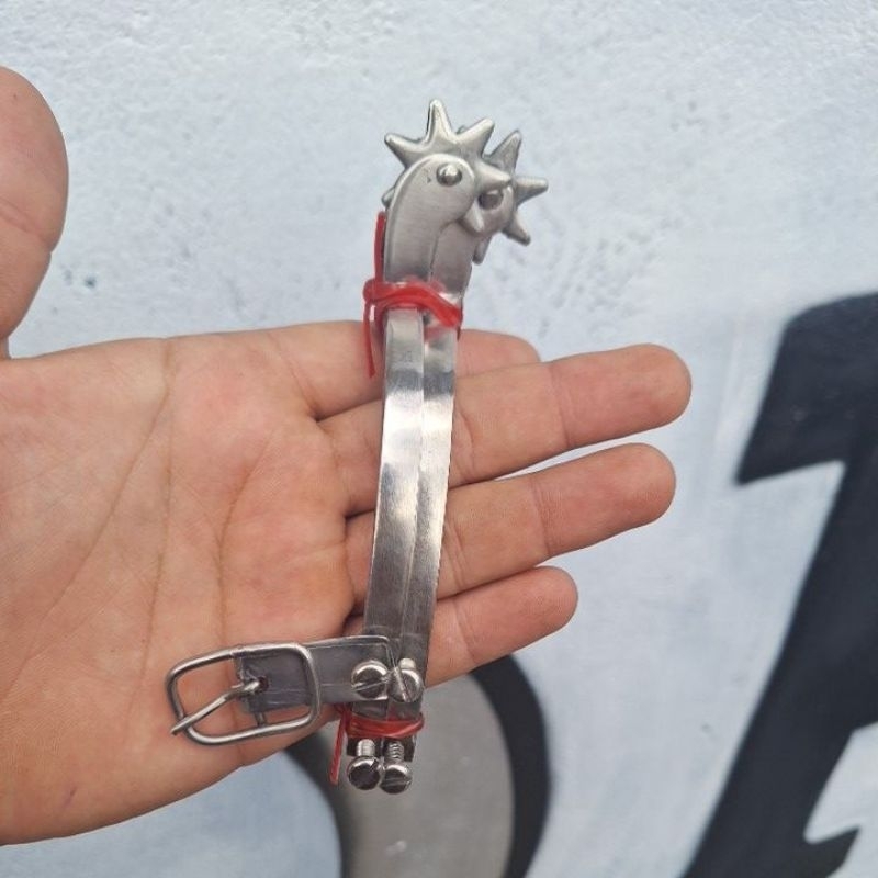 Espora batida 7 Dentes inox country cavalgada com correia de couro