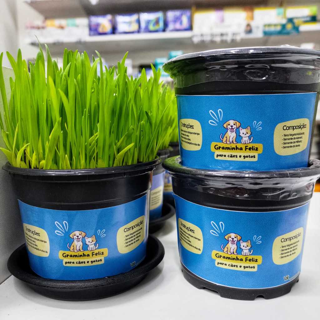 Graminha para Gatos e Cães Cresce Rápido – Capim Petisco Elimina Bolas de Pelos e Ajuda na digestão