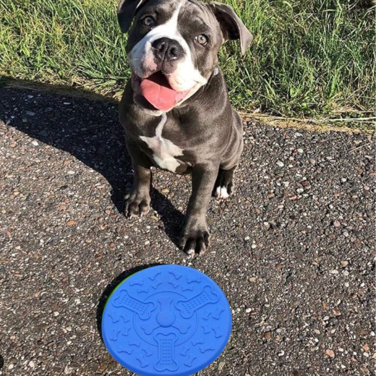 Frisbee Disco Cachorro Brinquedo Pet Lançamento D