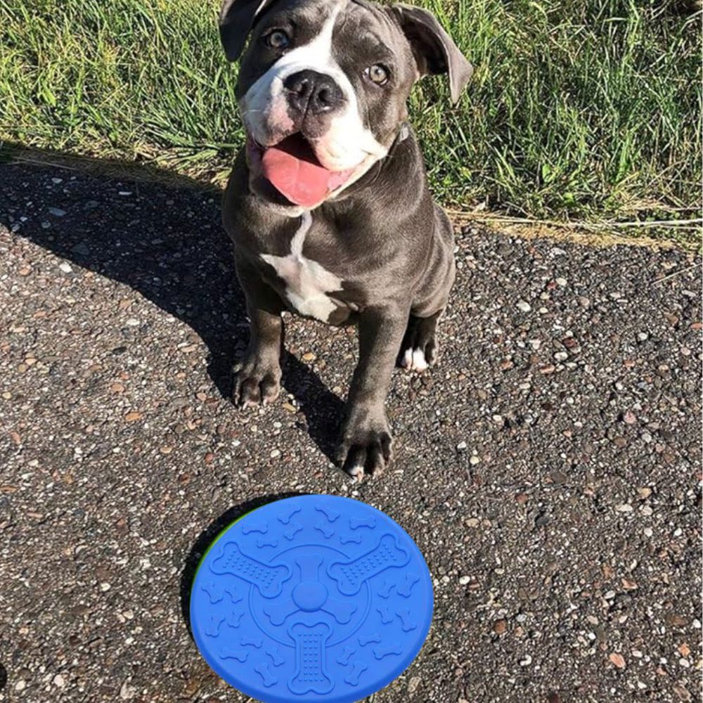 Frisbee Disco Cachorro Brinquedo Pet Lançamento Diversão Dog