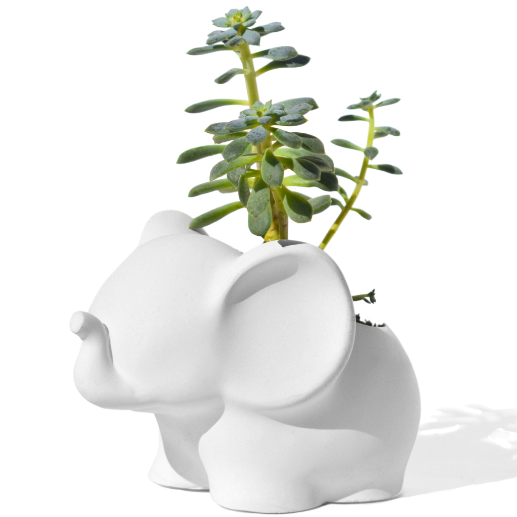 Vaso Decorativo Elefante Artesanal 12cm Em Cimento