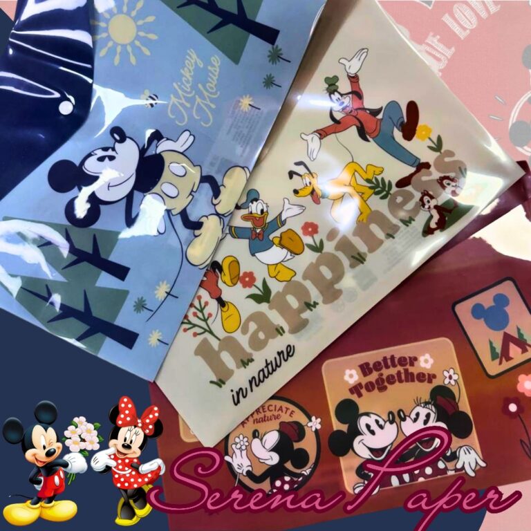 PASTA DE DOCUMENTOS MICKEY E SEUS AMIGOS / PAPELAR