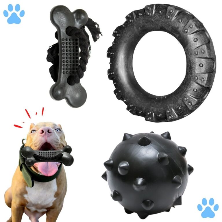 Kit Brinquedo Mordedor para Cachorro Pneu G + Bola