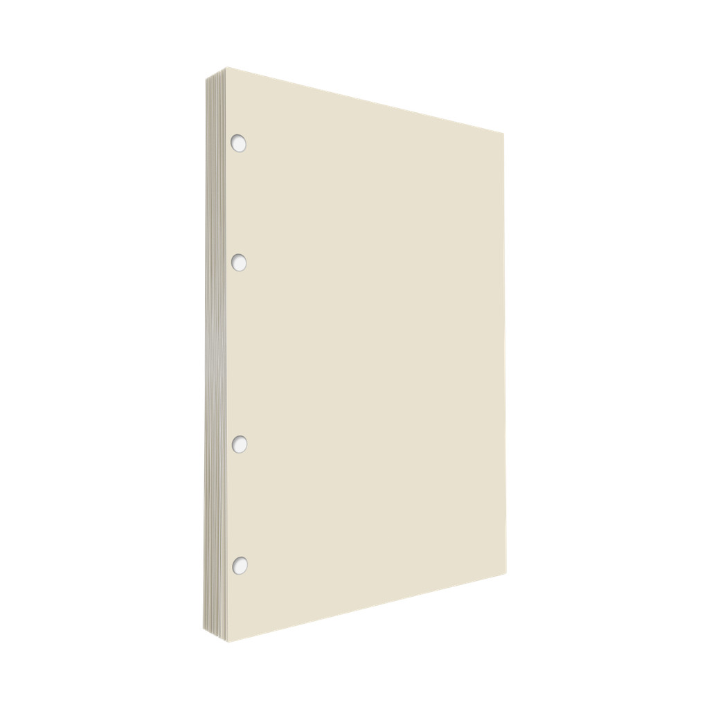 Refil Argolado Sem Pauta 90g 80 folhas Universitário Colegial A5