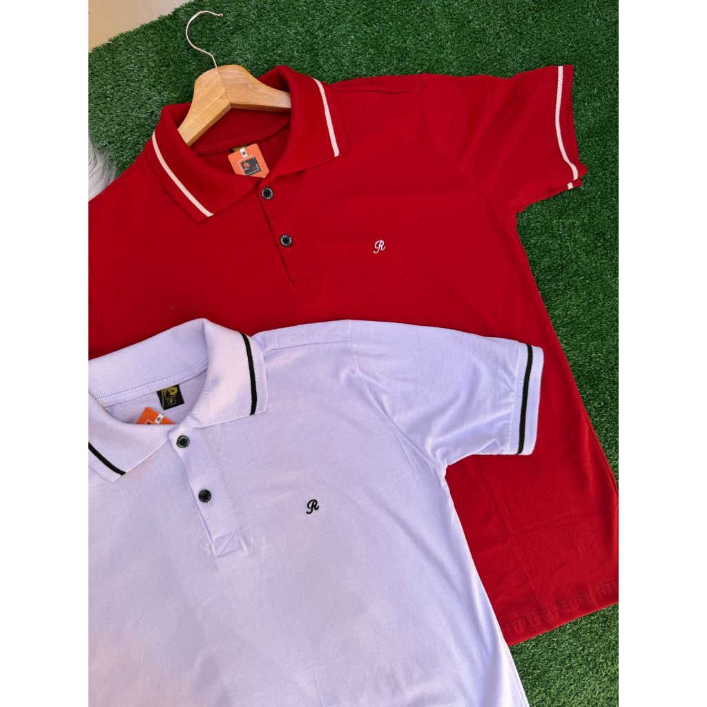 KIT 2 E Unidade Camiseta Gola Polo Masculina P ao GG 100% Algodão Basica