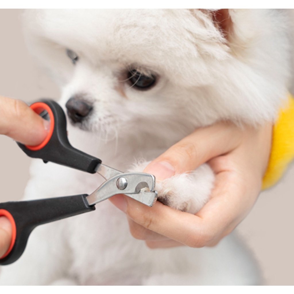 Tesoura De Unhas Inox Para Cachorros / Gatos/ Coelho/Pets 12,5x6cm