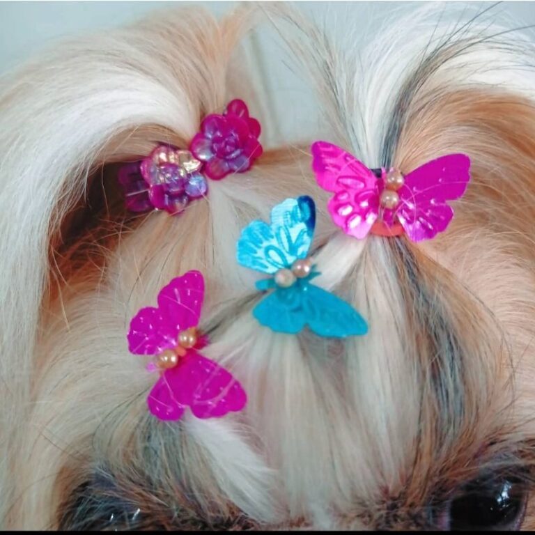 ponto de luz pet lacinhos pet borboletas, penteado