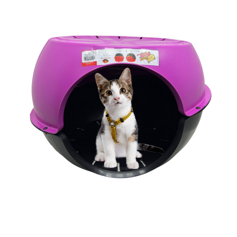 Cabana Toca de Gato Paris Lilás Casinha Furacão 