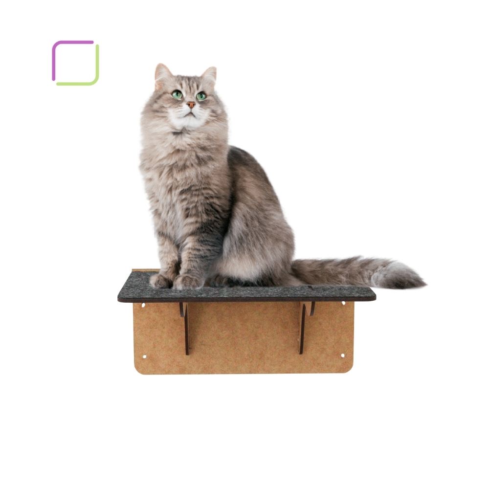 Melhores acessórios de playground para gato nicho rede escadinha ponte brinquedos para pet