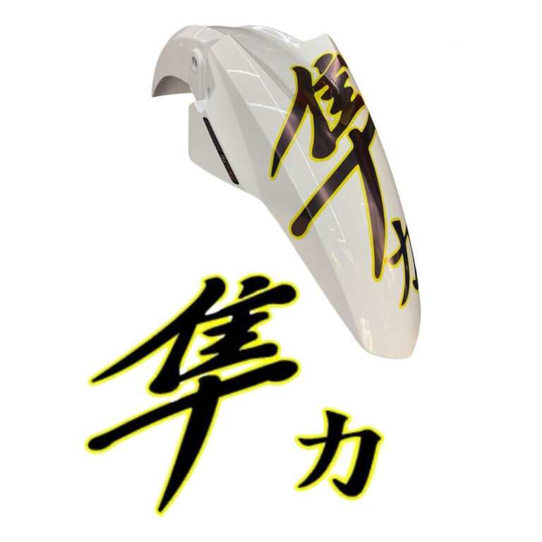 Adesivo Hayabusa Paralama 25x18cm Cores Titan/fan 
