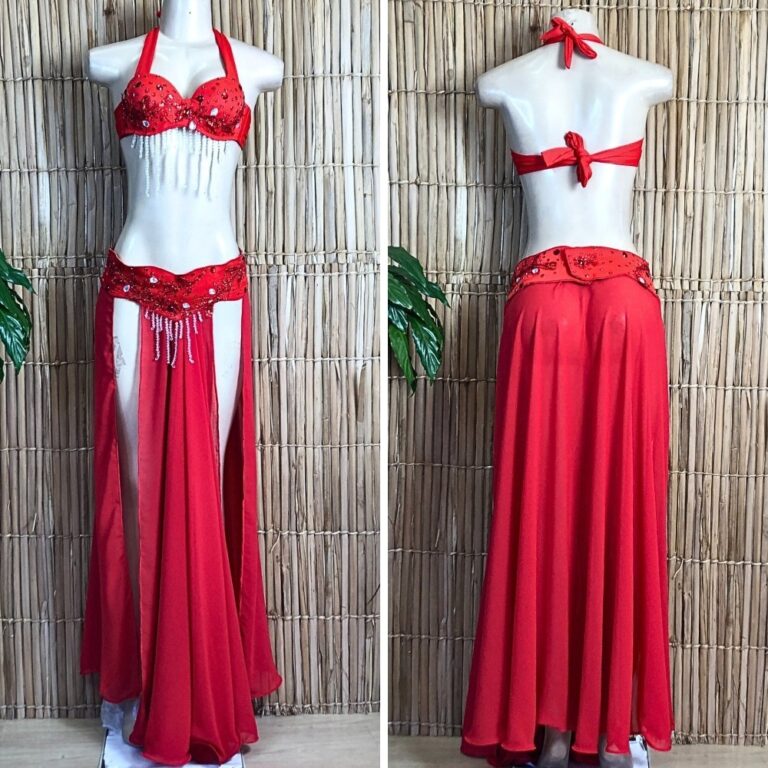 [Liquidação] Dança do Ventre Traje Bordado Comp