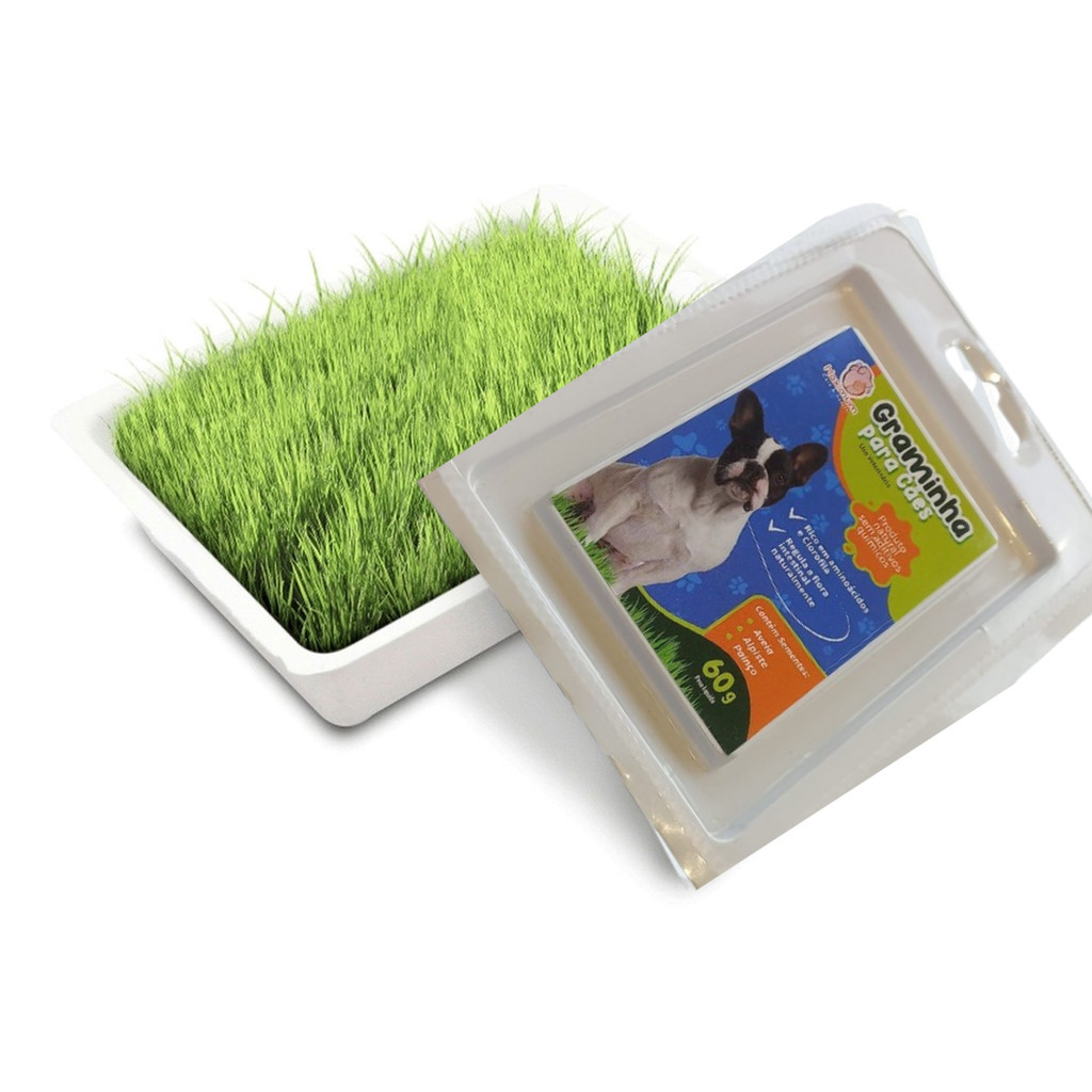 Grama Para Pet Cães Digestivo Estômago Saudável