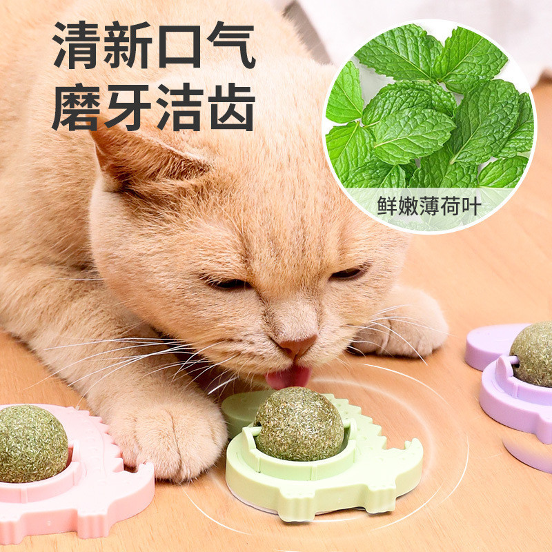 Erva Gato Bola Brinquedo De Bola Petisco De Menta Pet Shop Diversão Lazer Mordedor