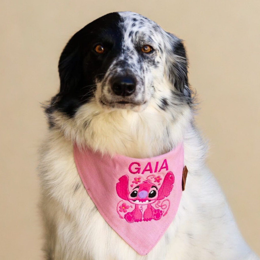 Bandana para pet com bordado do Angel