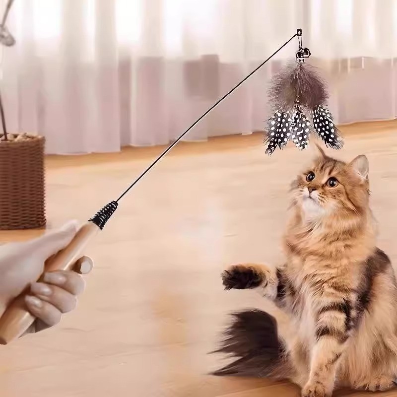 Brinquedo para Gato Varinha Teaser de Mola com