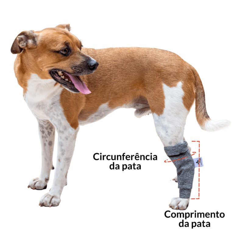 Protetor de Perna para Cão  Polaina – Manga