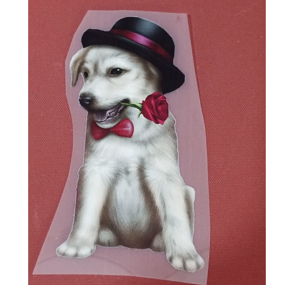 ESTAMPA dtf digital alta resolução termocolante cachorro com chapéu e rosa facil aplicação com ferro