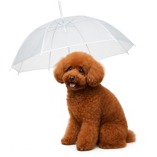 Guarda-Chuva Transparente com Guia para Pets Cacho