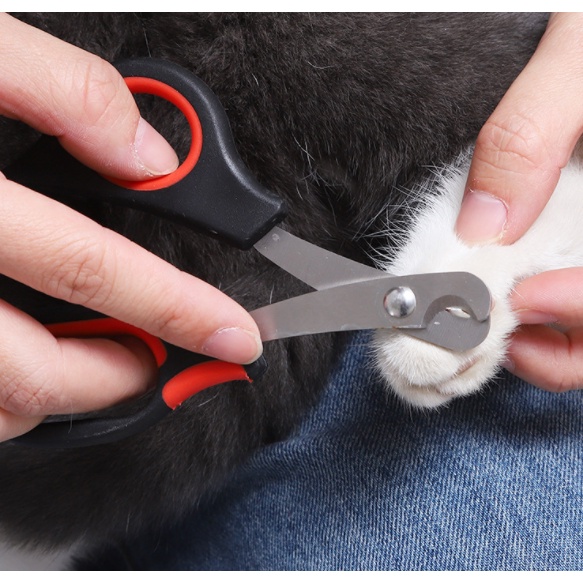 Tesoura De Unhas Inox Pet Para Roedores Cachorros 