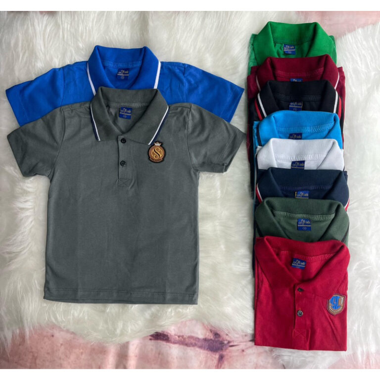 Camisa Camiseta Infantil Masculino Gola Polo Manga