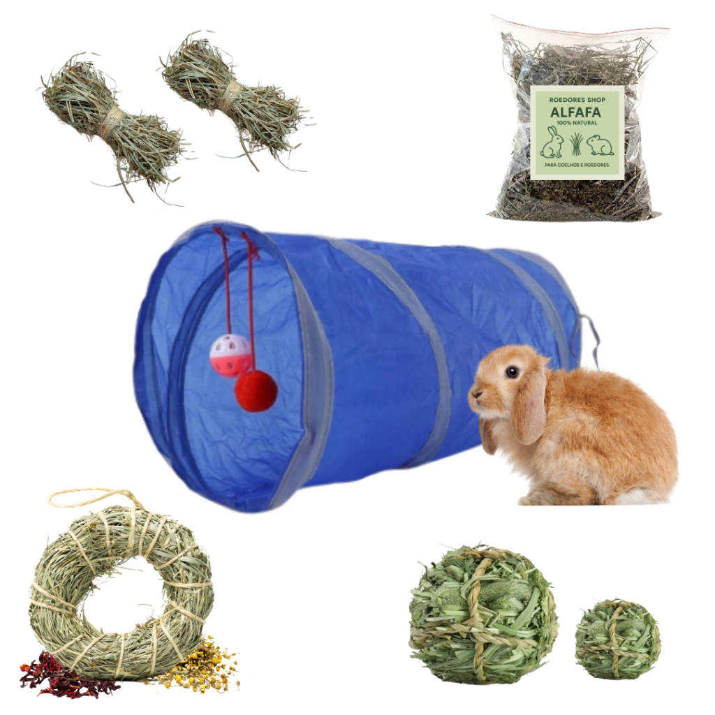 Kit Brinquedos Para Coelhos Porquinhos Da India Com Túnel Petiscos e Brinquedos