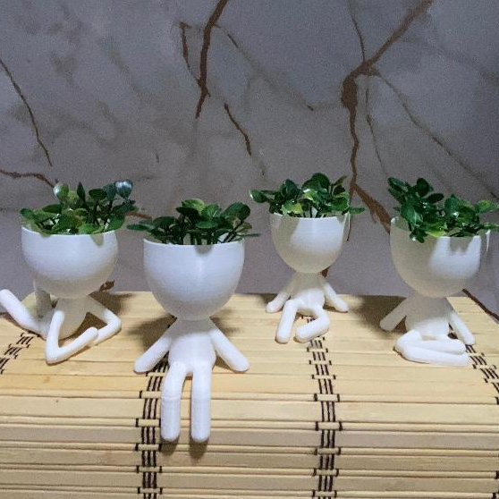 Kit 4 Vasinhos Robert Plant 6cm Plastico com Plant