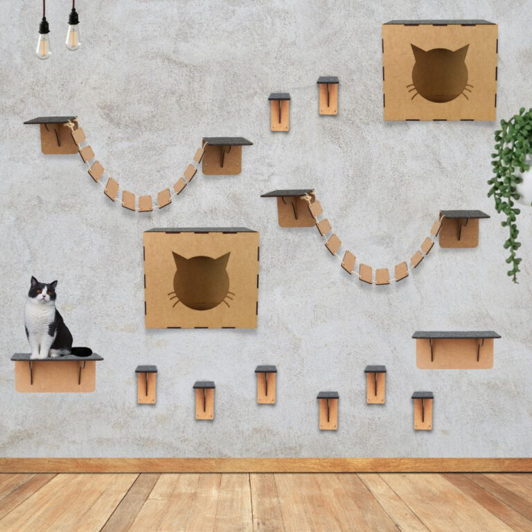Playground para Gatos Circuito de Gato com 2 Nicho