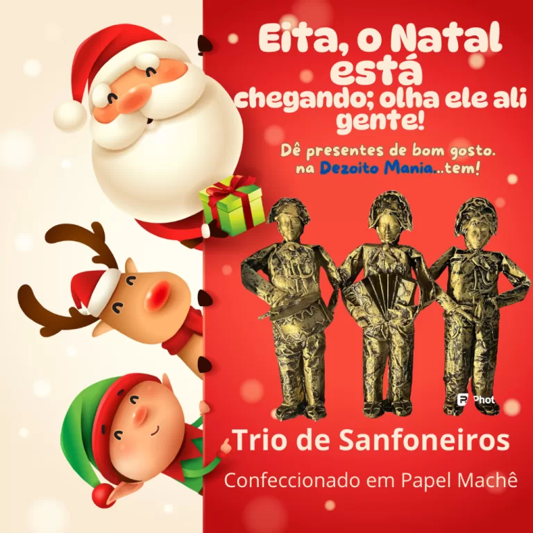 conjunto sanfoneiro sertanejo