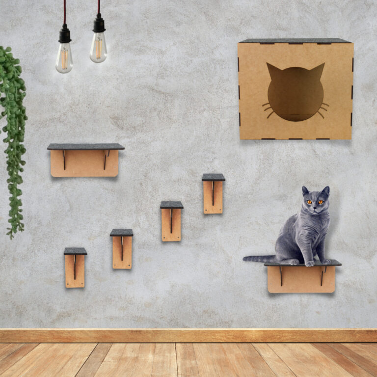 Playground Gatos Brinquedo Bichanos Circuito Custo