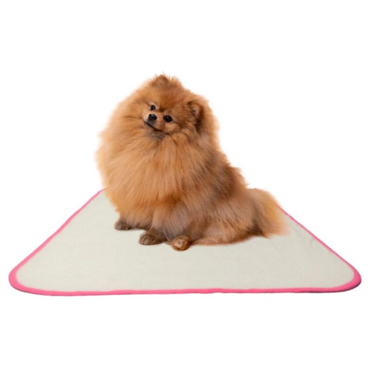 Kit com 2 tapete higiênico lavável cães, Treina