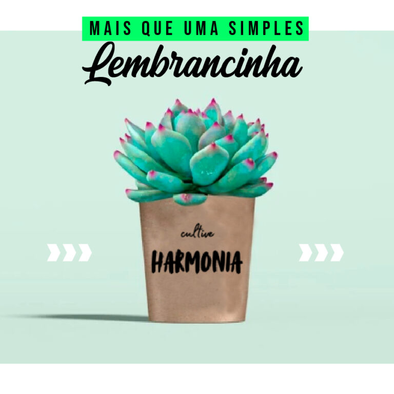 Coleção de Rótulos para Cacto/Suculentas