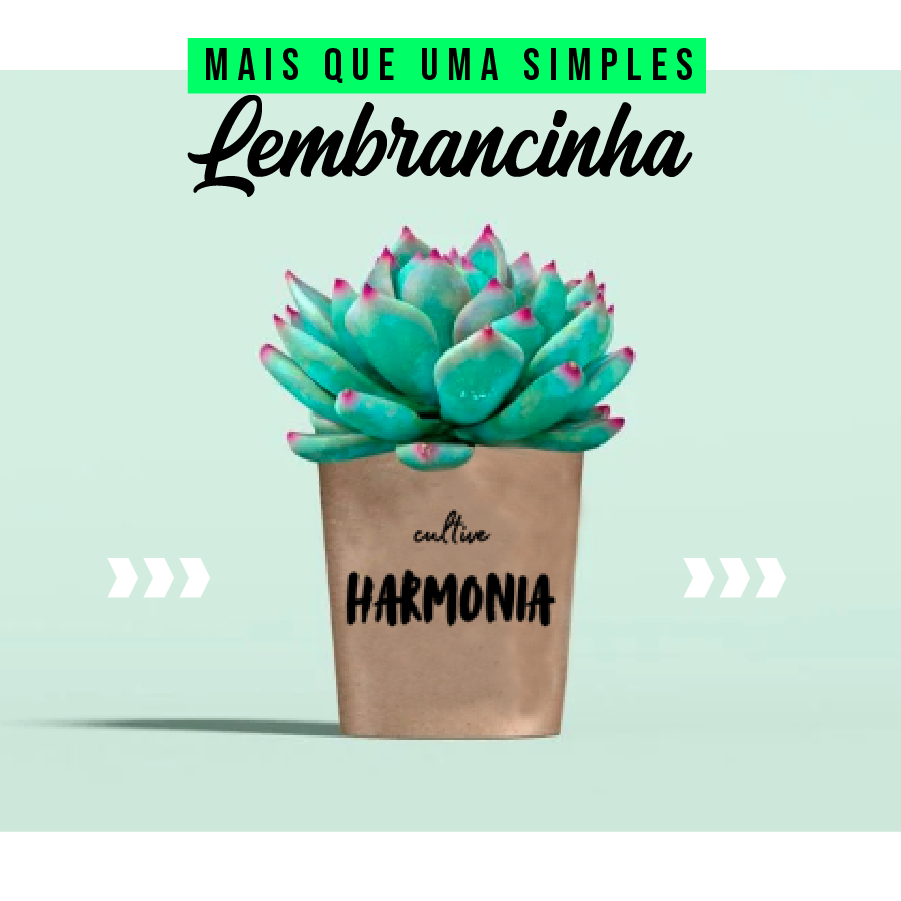 Coleção de Rótulos para Cacto/Suculentas