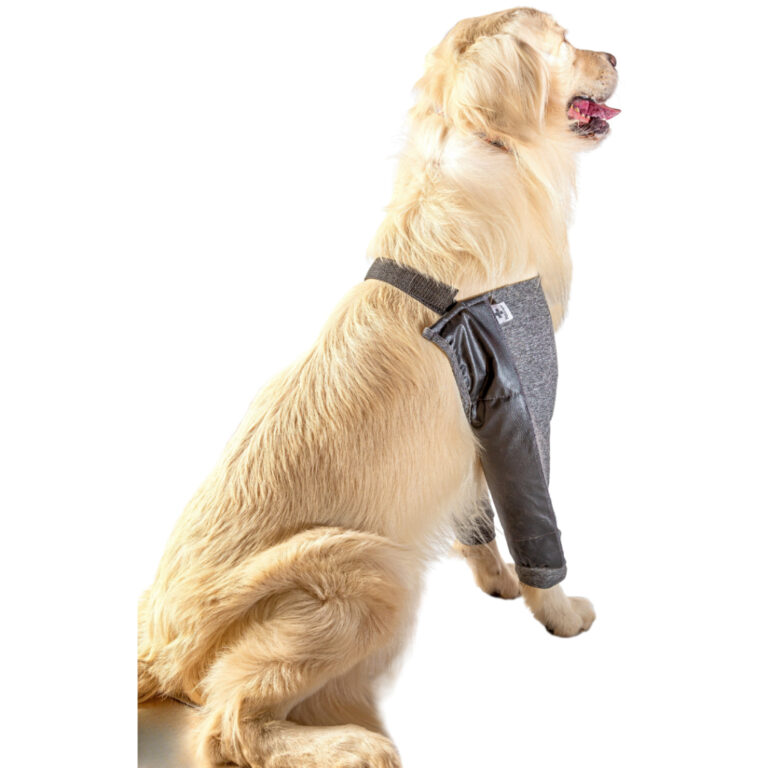 Protetor Cotoveleira de Higroma para Cães  Confor