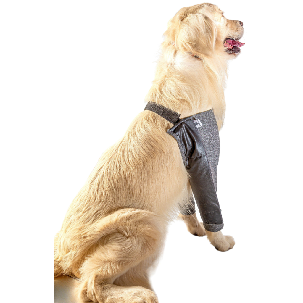 Roupa Protetora Cotoveleira Para Cães Cotovelos Protetor de Higroma Calos Rachaduras Hiperqueratose