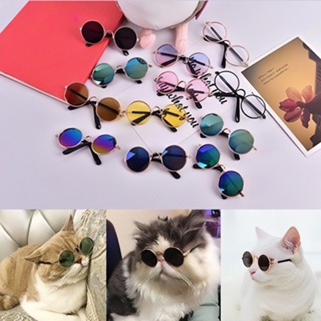 Óculos Pet Cachorro Gato Diversas Cores Óculos P