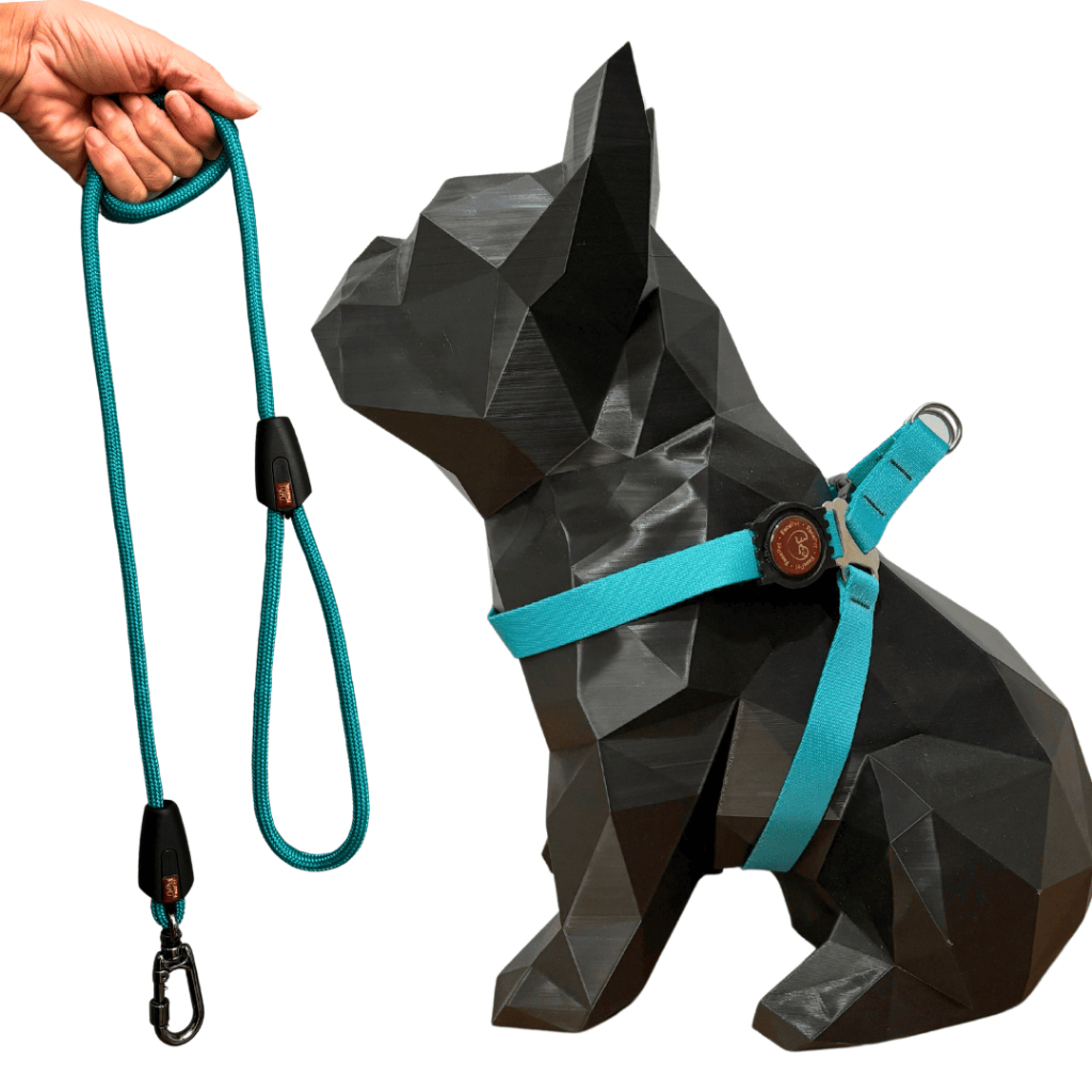 Peitorla Coleira Com Guia de corda Resistente e com mosquetão de trava e rosca da Facepet