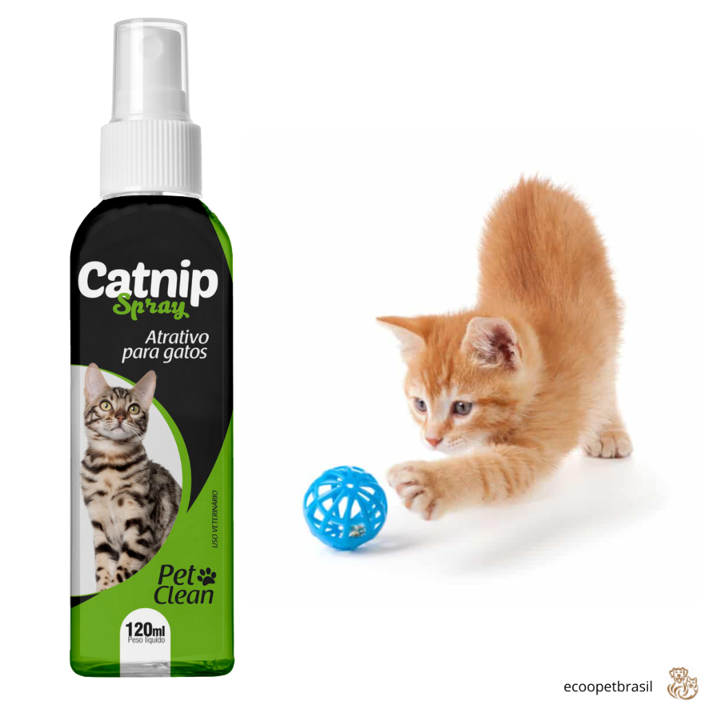 Catnip Pet Clean 120mL – Atrativo para gatos