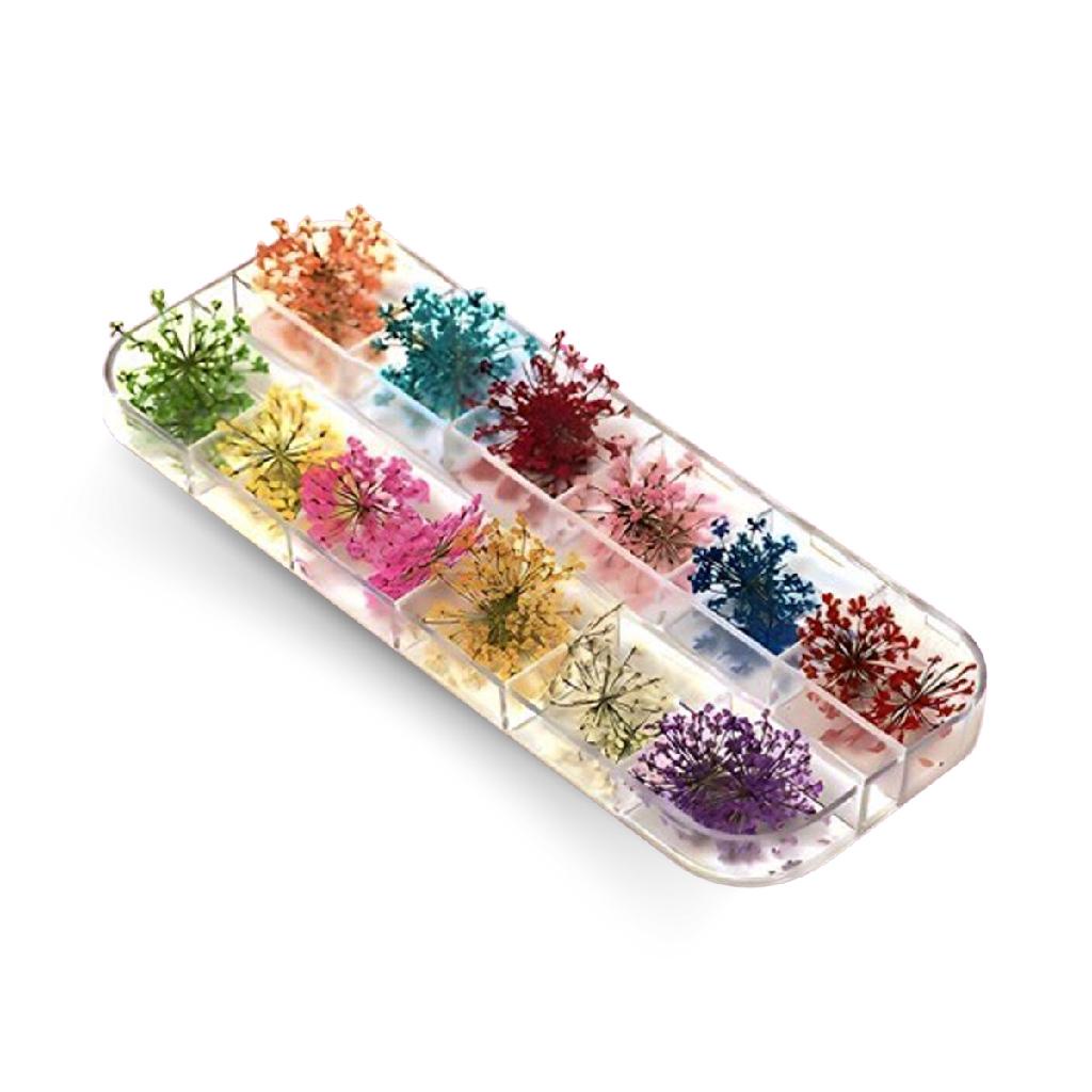 Flores Secas para Decoração e Encapsulamento de Unhas Gel Nail Art Unhas de Gel Alongamento Manicure