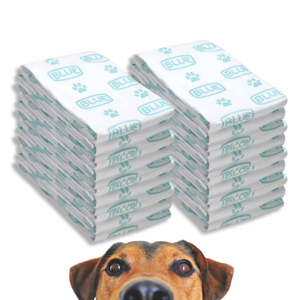 Kit C/2 Tapete Blue Sanitário Higiênico 30 Unidades Cada Pacote Super Premium Para Cães + NF