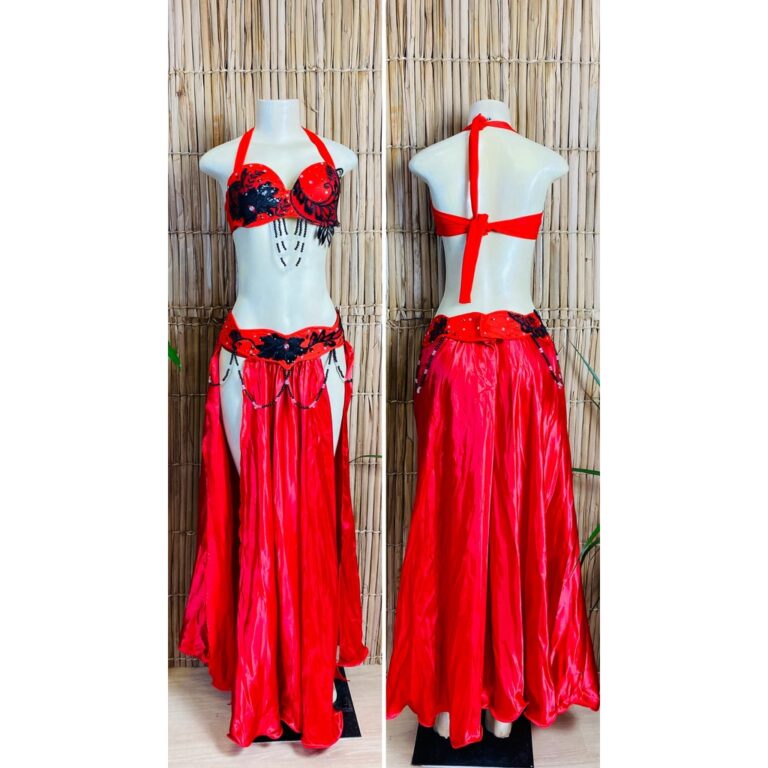 [Liquidação] Dança do Ventre Traje Bordado Comp