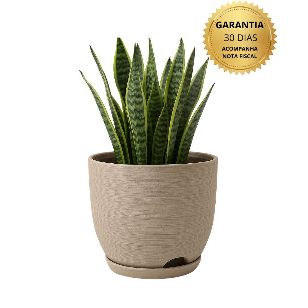 Vaso Polietileno Para Plantas Jardim Sala Luxo escovado bojo pequeno Com Prato
