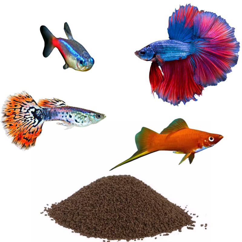 Ração Para Peixes Betta Guppy Lebiste Espada 0,8mm Inicial Alevinos 45% Proteínas