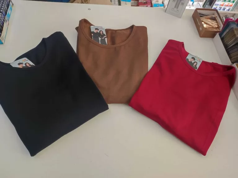 Blusa Térmica Manga Longa Feminina Peluciada Inve