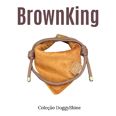 Box com colar e bandana pet
