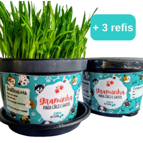 Kit Luna Pet Store: 1 Grama Graminha para Pets + 3