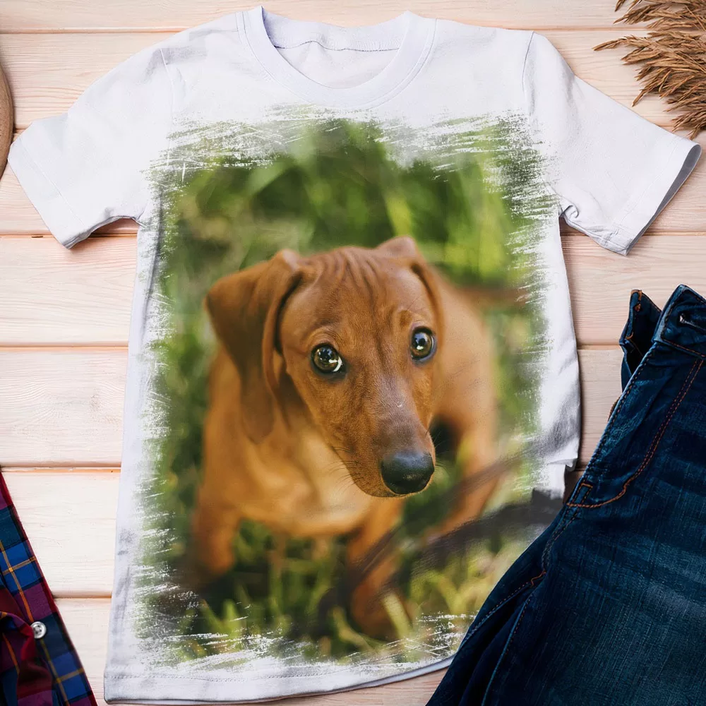 Camiseta Cachorro Salsicha Dachshund 3 – Dicelli